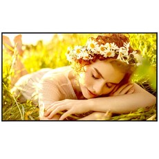LG 50UL5Q-E 50-inch 4K UHD Signage Display (50UL5Q-E)