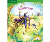 Aapstreke