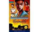 Via Afrika tourism: Gr 10: Learner's book