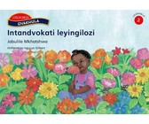 Kagiso Reader: Bukhulu nebuncane (NCS) : Grade 1 : Book 11