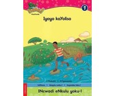 Mini emnandi Nandipha! Imini yoloyiko: Gr 1: Big book 3