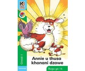 Kagiso Reader: Bukhulu nebuncane (NCS) : Grade 1 : Book 11