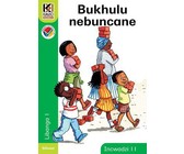 Kagiso Reader: Bukhulu nebuncane (NCS) : Grade 1 : Book 11