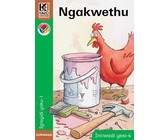 Kagiso Reader: Thusang (NCS) : Grade 1 : Book 3