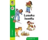 Kagiso readers NCS: Gr 3: Workbook