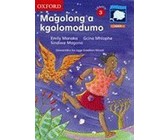 Ngiyasesaba isibhedlela: Gr 1 - 3: Reader