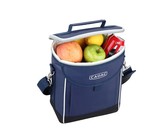 Portable Car Refrigerator Cooler & Warmer