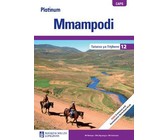 Platinum Mmampodi Grade 12 Teacher's Guide CAPS