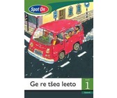 Spot On Sepedi Grade 1 Reader: Tumi o ya sekolong : Grade 1