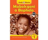 Study and Master Mathematics Grade 3 Caps Workbook Isizulu Translation