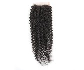 Beau Diva 10 inches Brazilian Water Curl 4X4 Three Parts Closure