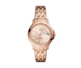 Ladies Seiko Two Tone Gold Dress Watch - SRZ526P1