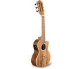 Alvarez AG60CEAR Artist Series Grand Auditorium Acoustic Guitar (Natural)