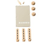 Fender Stratocaster Accessory Kit (Aged White)