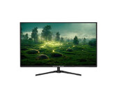 Rogueware W3202S 32" Full HD Monitor