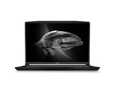 Acer Predator Helios 300 Gaming Notebook PC - Core i7-10750H / 17.3" FHD 144Hz / 16GB RAM / 1TB SSD / RTX 2070 8GB / Win 10 Home