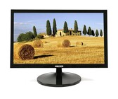 HP V197 18.5 inch LED Monitor